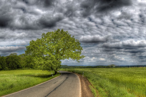 “我不是巨婴!”LOL手游选手回应争议,展现成熟一面! “我不是巨婴!”LOL手游选手回应争议,展现成熟一面!